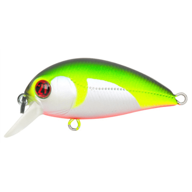 Pontoon 21 Hypnose 38F-SR