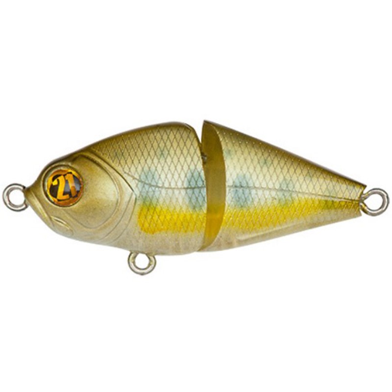 Pontoon 21 Bully Boo 45F-SR