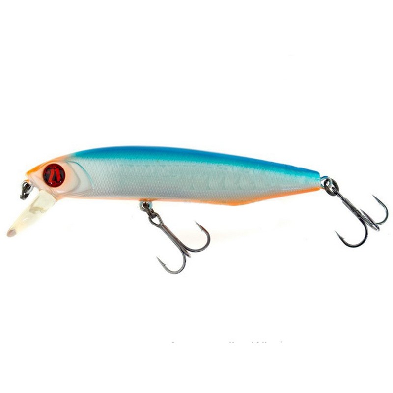 Pontoon 21 Dexter Minnow 93SP-SR