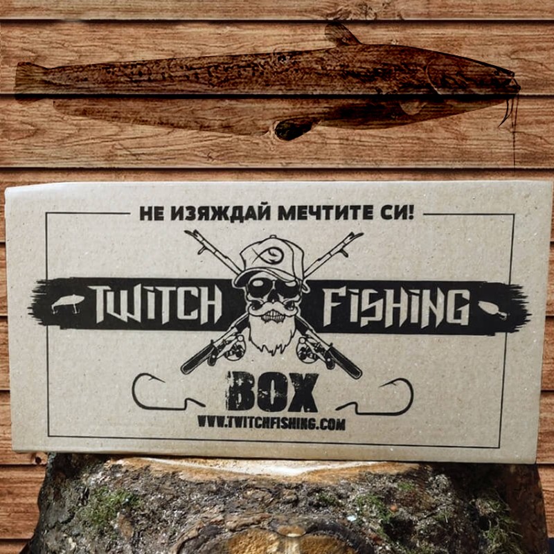 Catfish box 100
