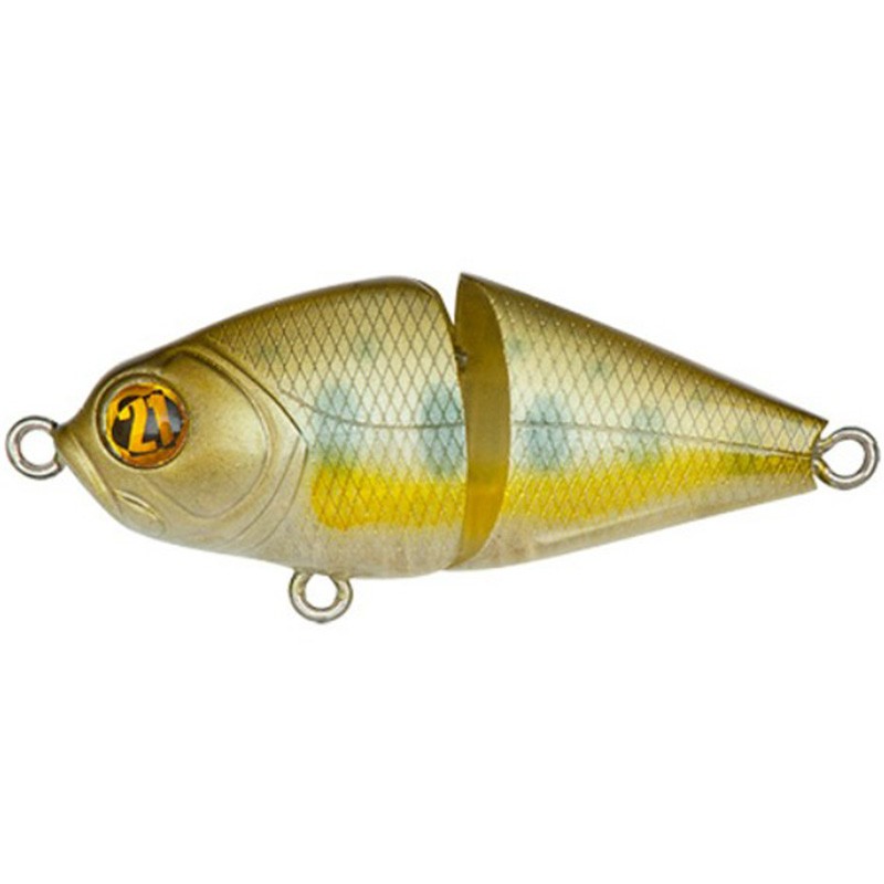 Pontoon 21 Bully Boo 45SS