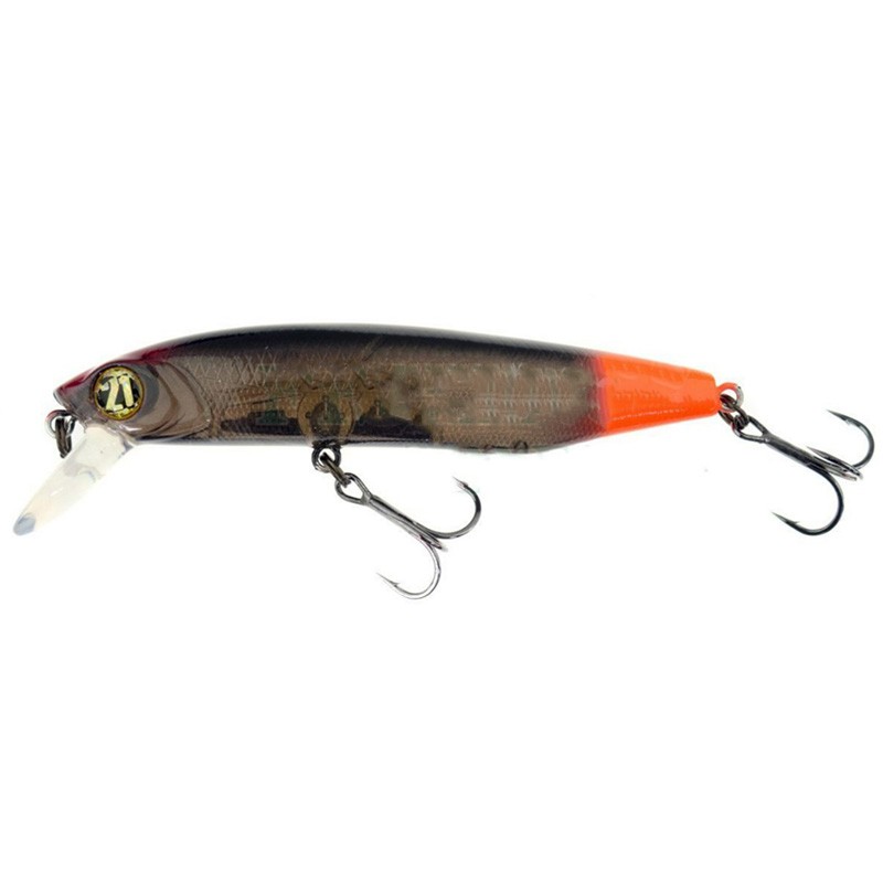Pontoon 21 Dexter Minnow 93SP-SR