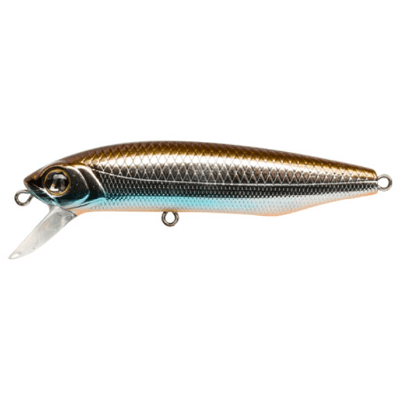 Pontoon 21 Dexter Minnow 71S-SR