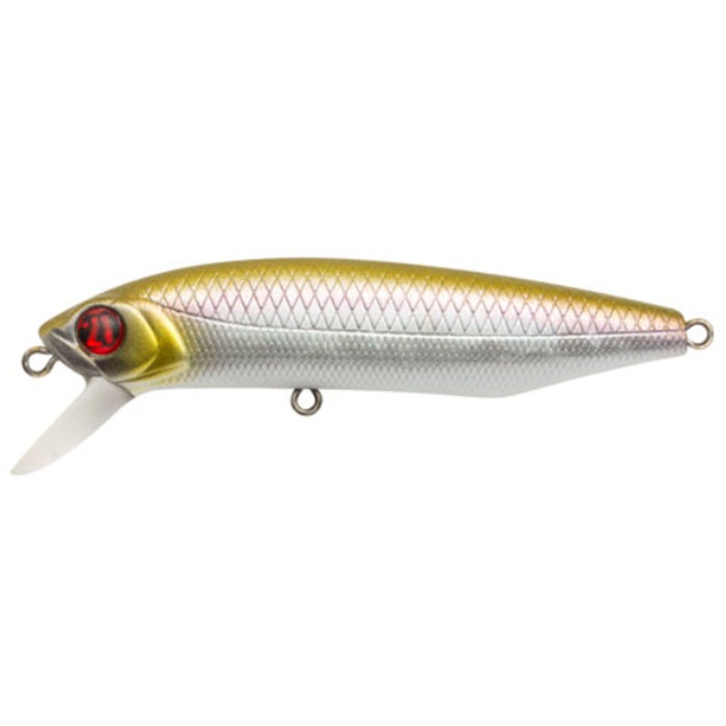 Pontoon 21 Dexter Minnow 71S-SR