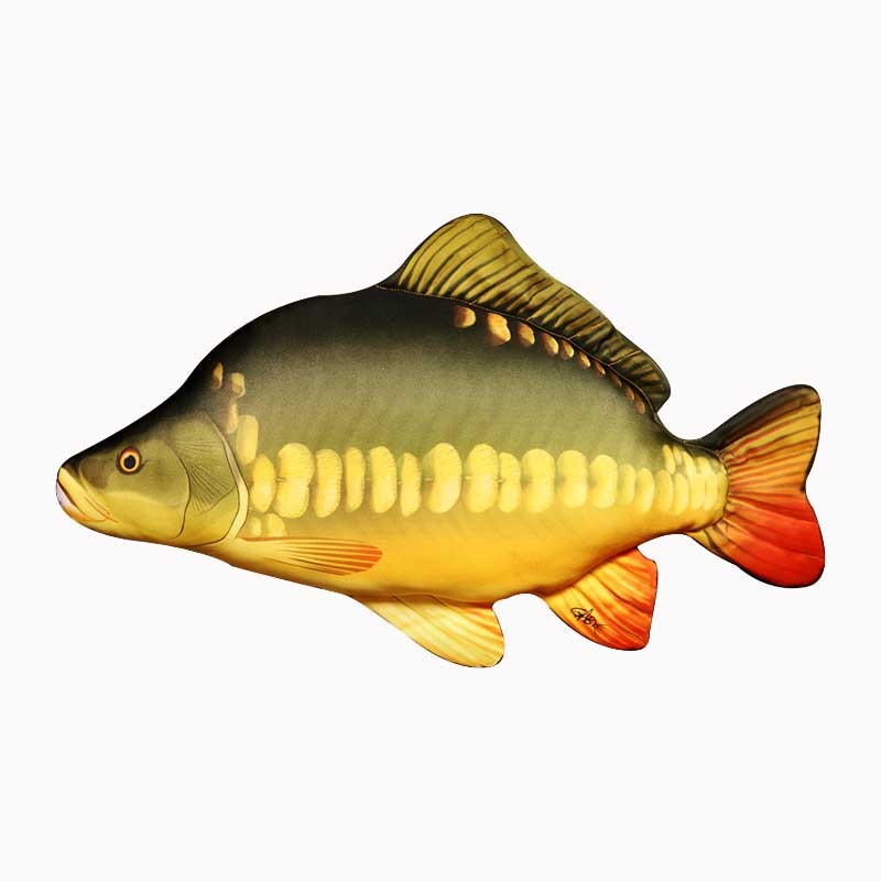 Pillow Carp