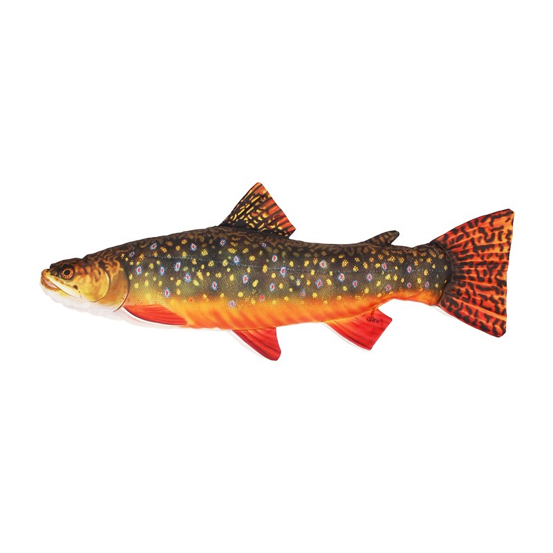 Pillow Brook Trout