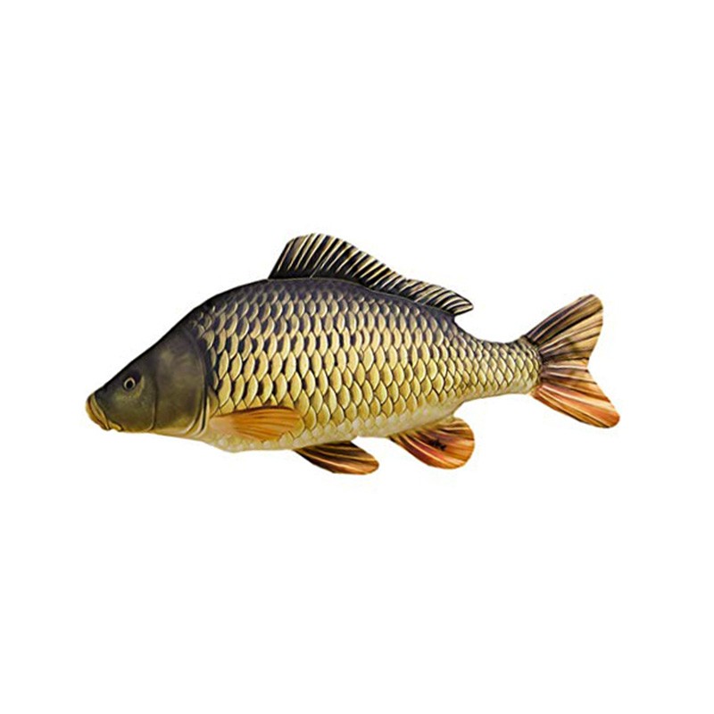 Pillow Common Carp