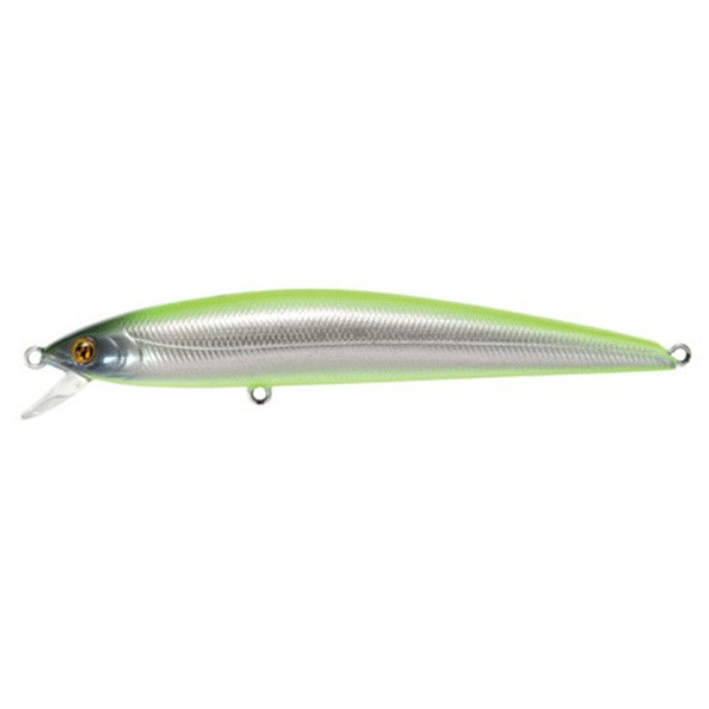 Pontoon 21 Agarron 110F - SR