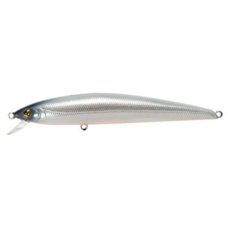 Pontoon 21 Agarron 110F - SR