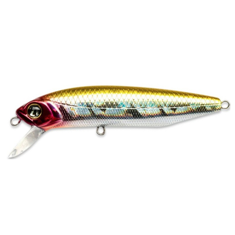 Pontoon 21 Dexter Minnow 71S-SR