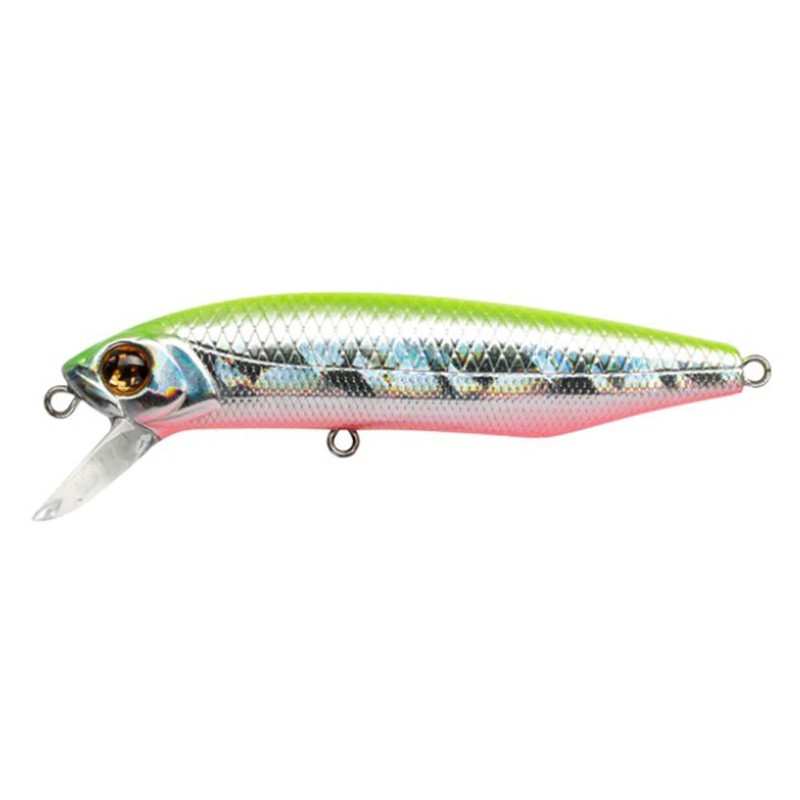 Pontoon 21 Dexter Minnow 71S-SR