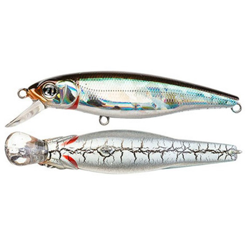 Pontoon 21 Greedy Guts 55F-MDR