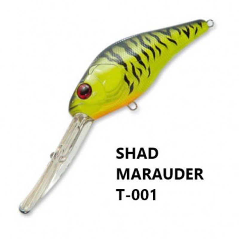 Pontoon 21 Shad Marauder 80F-DR
