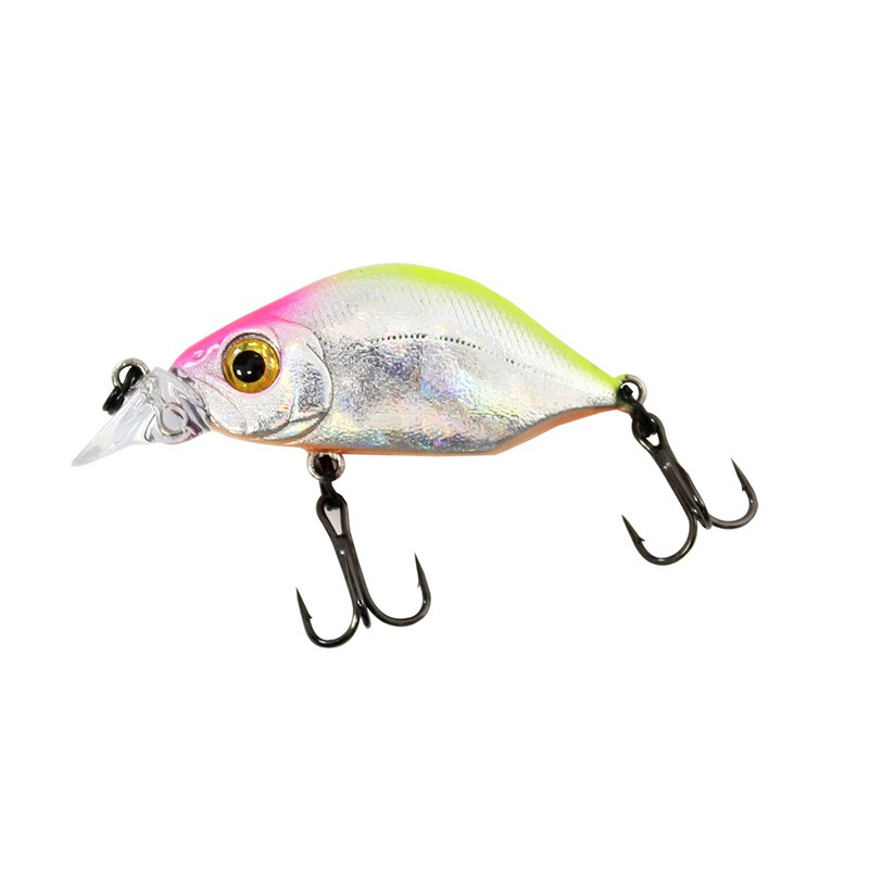 Sea Buzz Humpback 33S