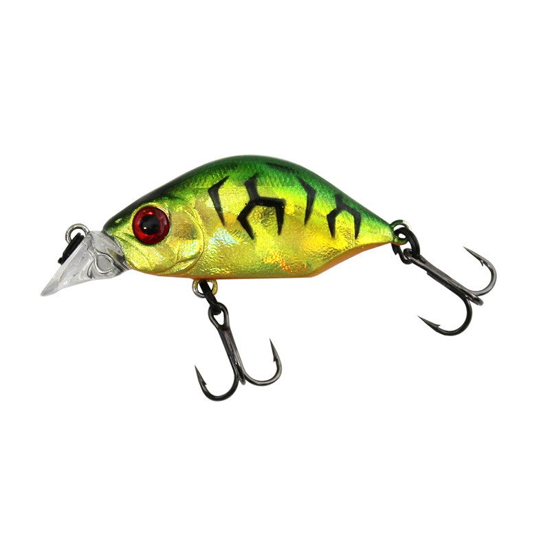 Sea Buzz Humpback 33S