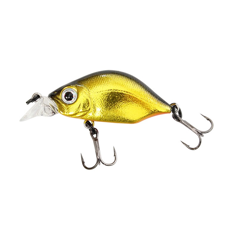 Sea Buzz Humpback 33S