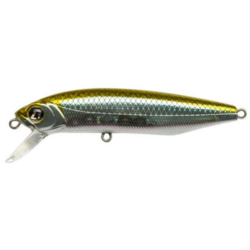 Pontoon 21 Dexter 71SP-SR
