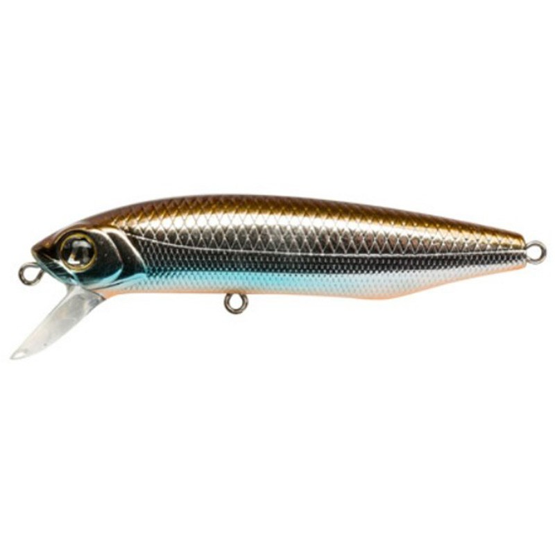 Pontoon 21 Dexter 71SP-SR