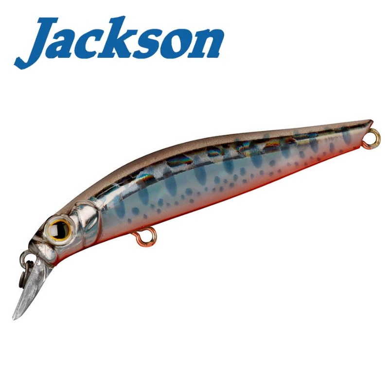 Jackson Artist FR55