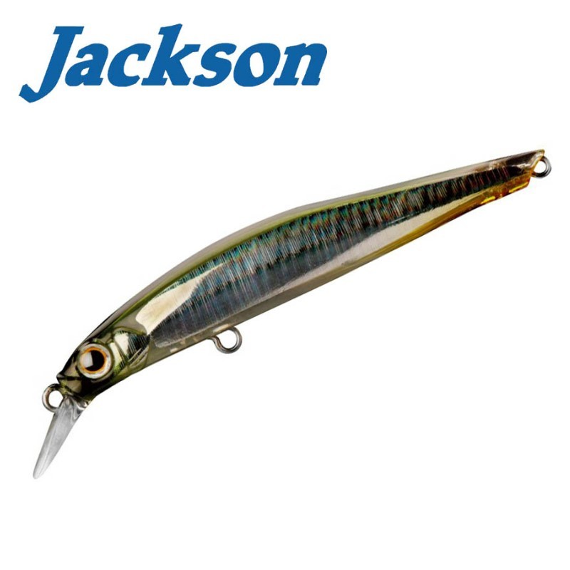 Jackson Artist FR55