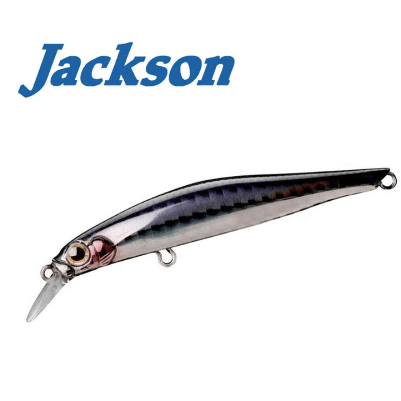 Jackson Artist FR95 HW