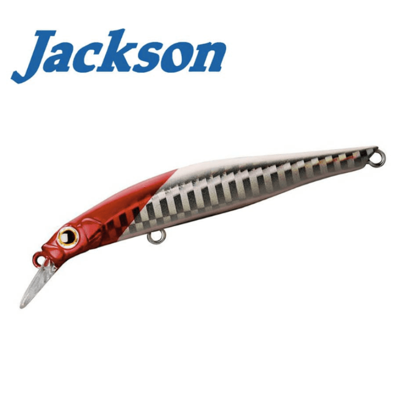 Jackson Artist FR95 HW