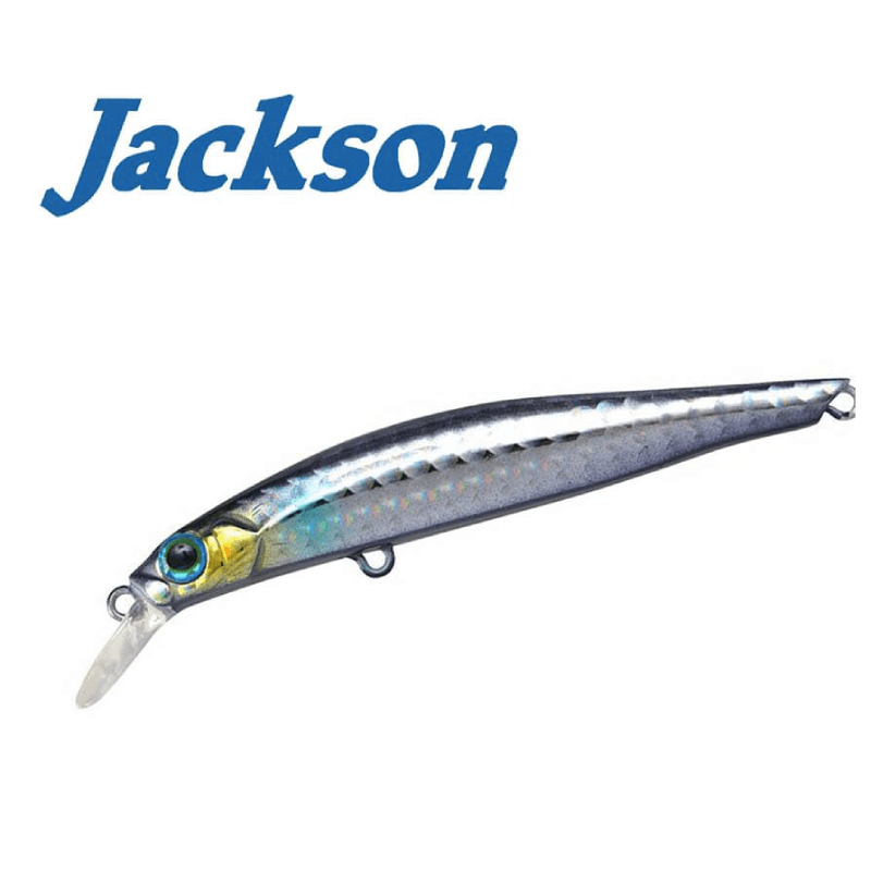 Jackson Artist FR95 HW