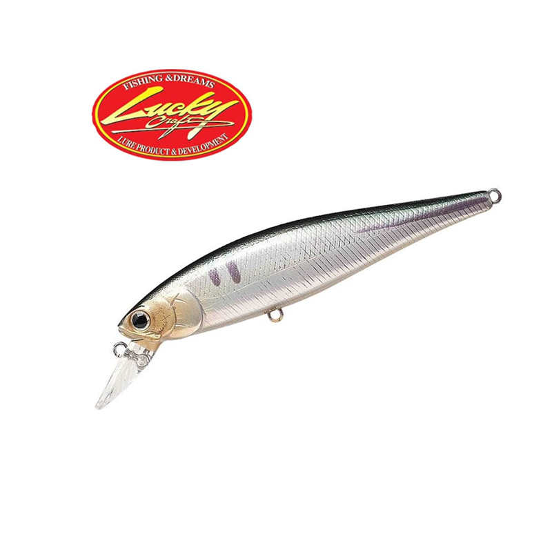 Lucky Craft Pointer 100