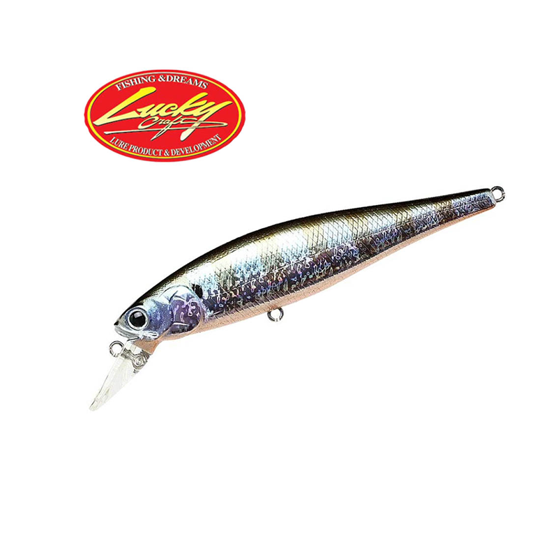 Lucky Craft Pointer 100