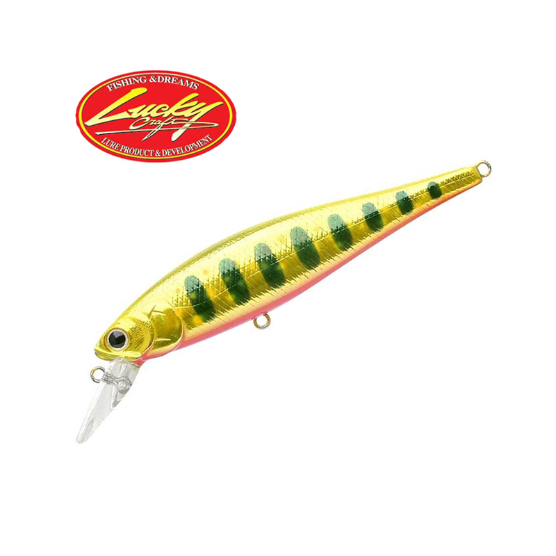 Lucky Craft Pointer 100