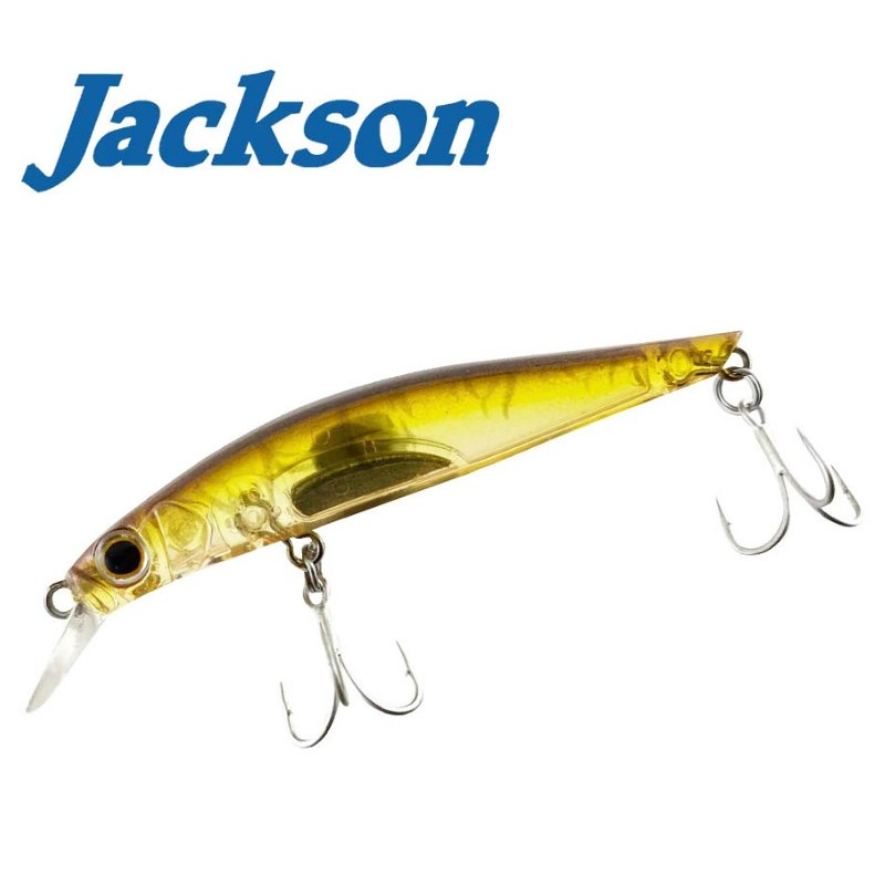 Jackson Artist FR70