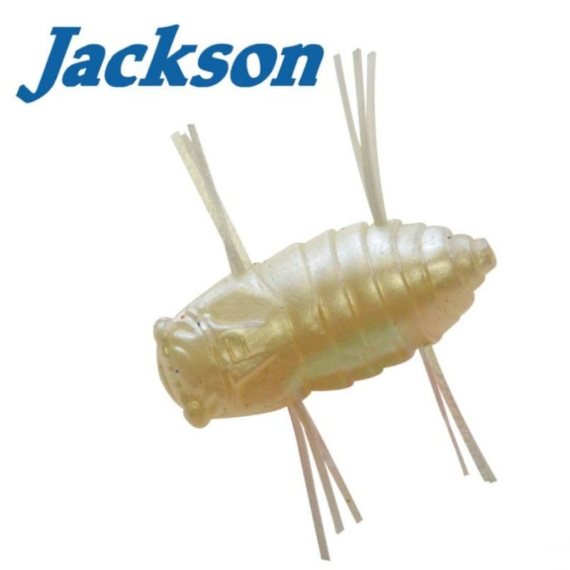 Jackson Mushiiiin