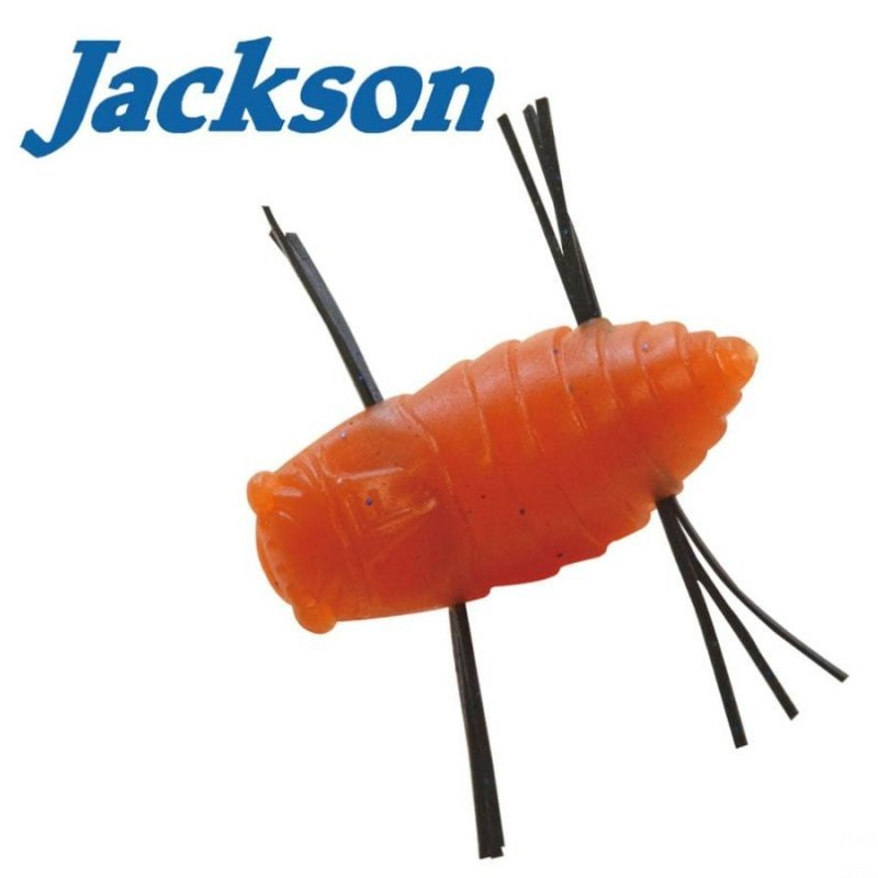 Jackson Mushiiiin