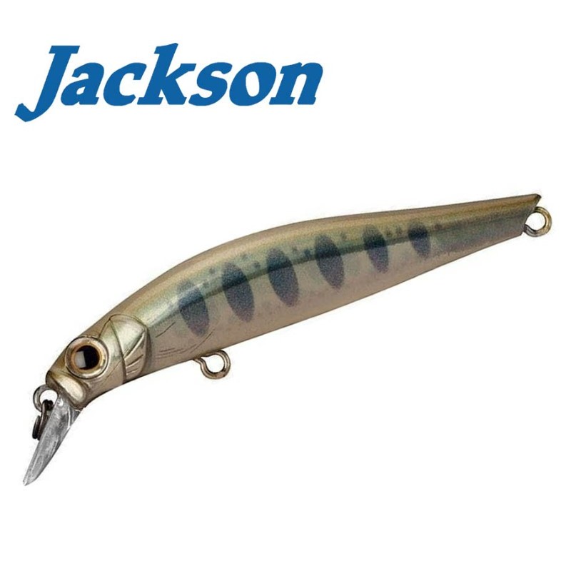 Jackson Artist FR55
