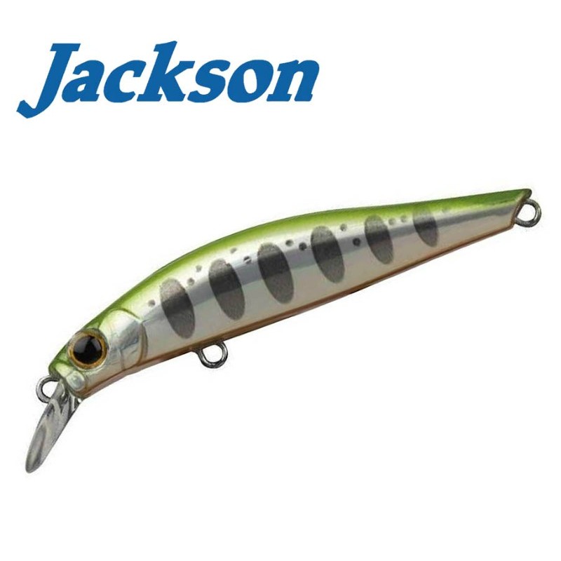 Jackson Artist FR55