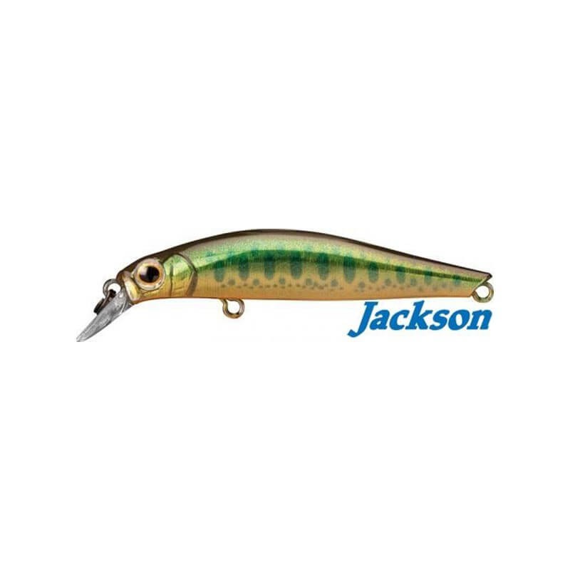 Jackson Artist FR55