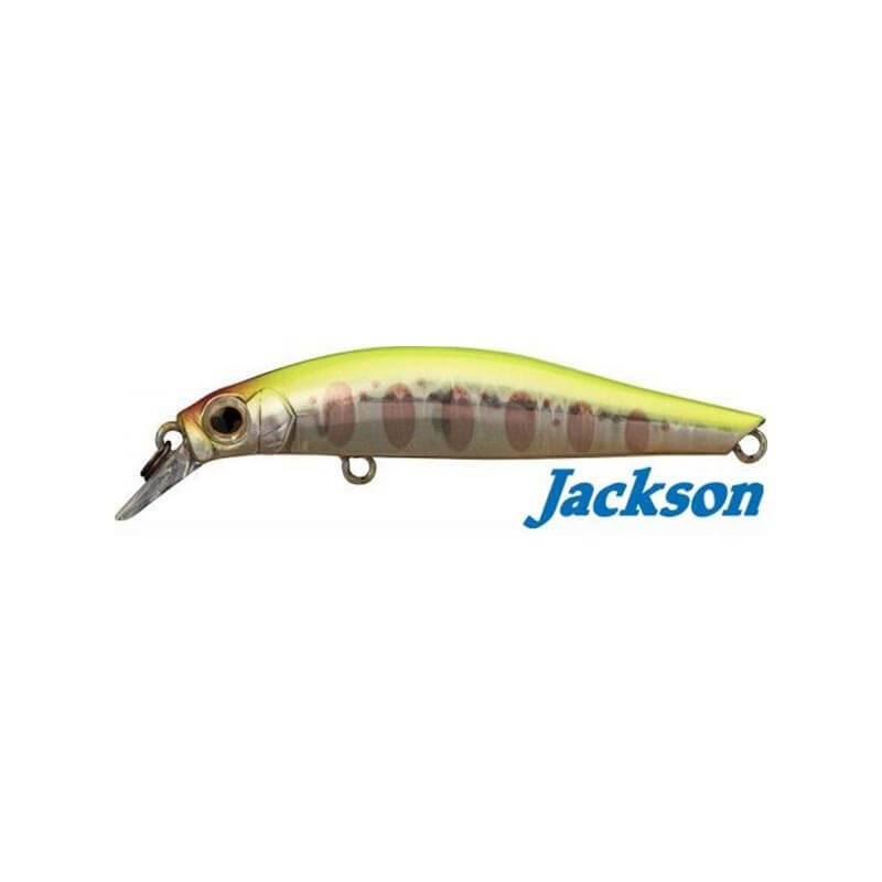 Jackson Artist FR55