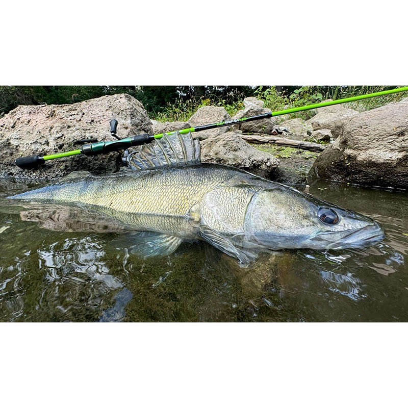 Twitch Fishing Шибучица 7-28 Спининг Въдица