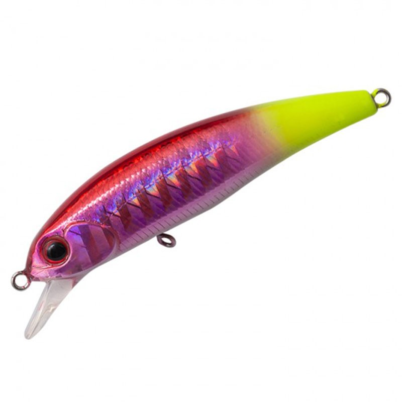 PALMS FLOATING DEGREE FDG-55F