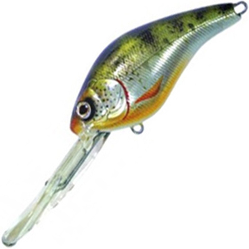 Pontoon 21 Panacea Fat Marauder 80F-DR