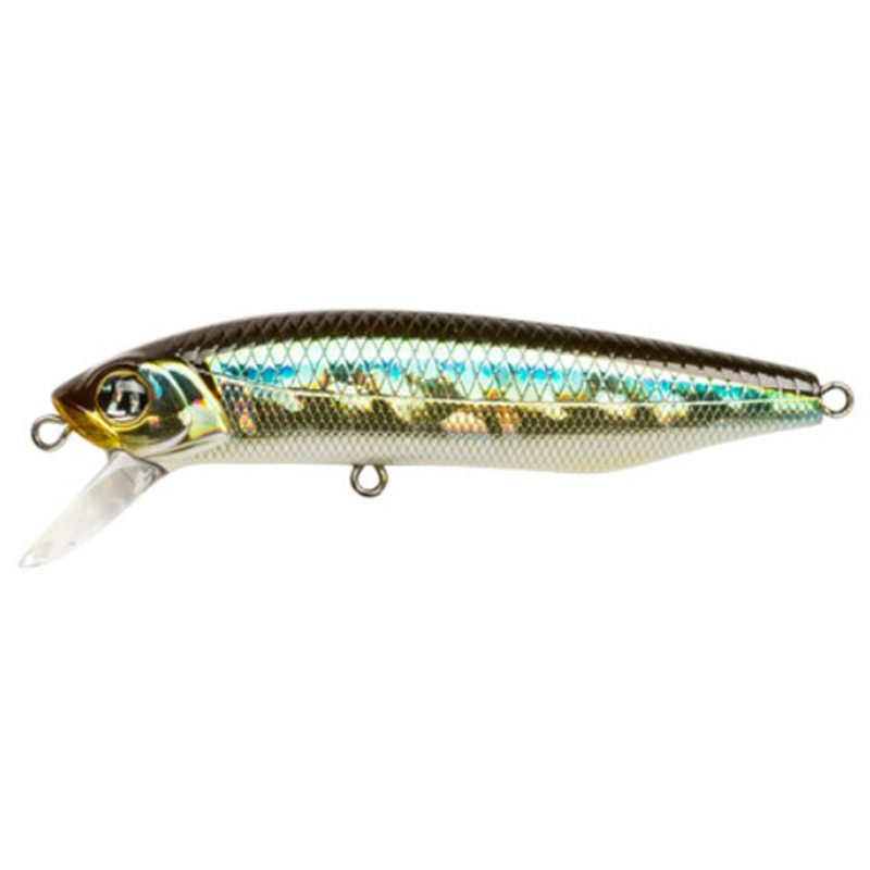 Pontoon 21 Dexter Minnow 93SP-SR