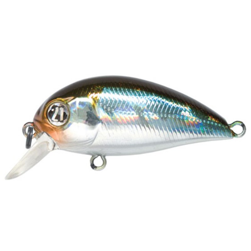 Pontoon 21 Hypnose 38F-SR