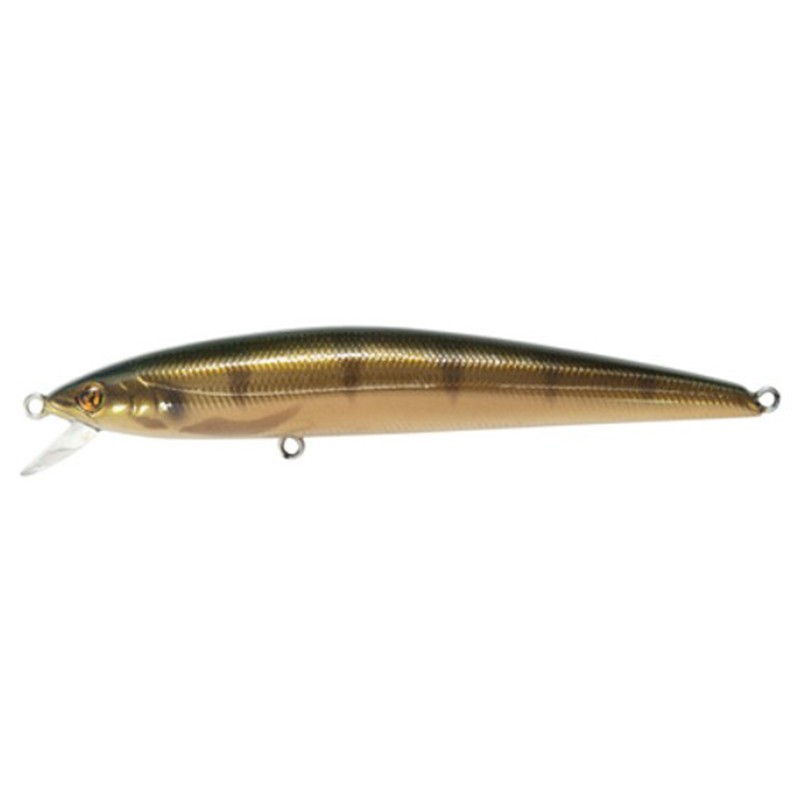 Pontoon 21 Agarron 80F - SR