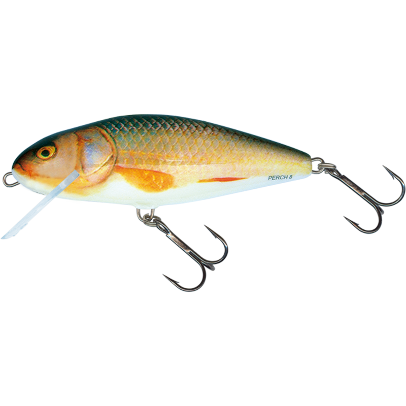 Salmo Perch 8