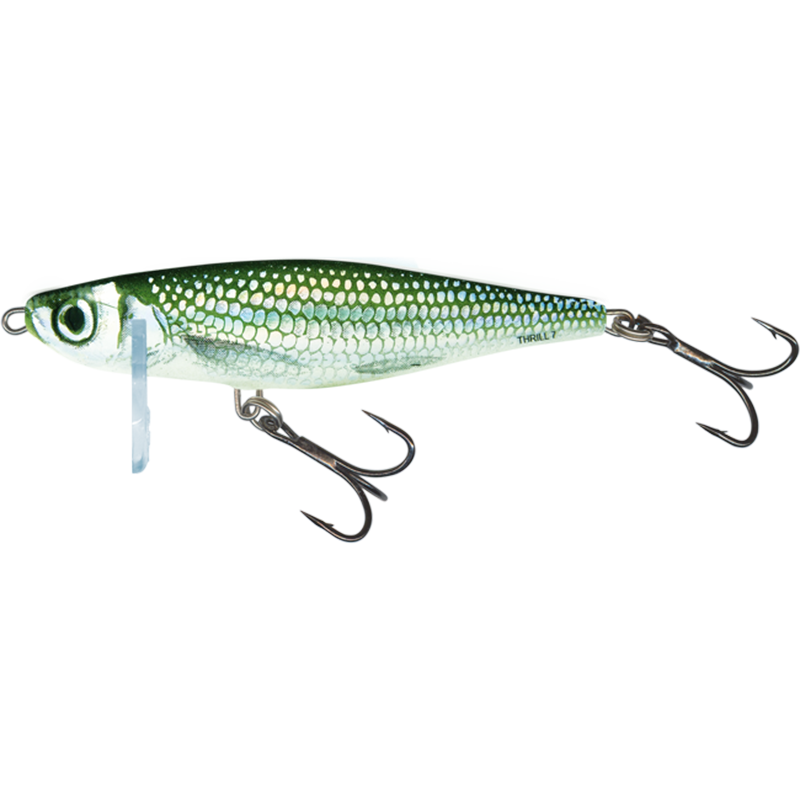 Salmo Thrill 7cm 13g - Sinking