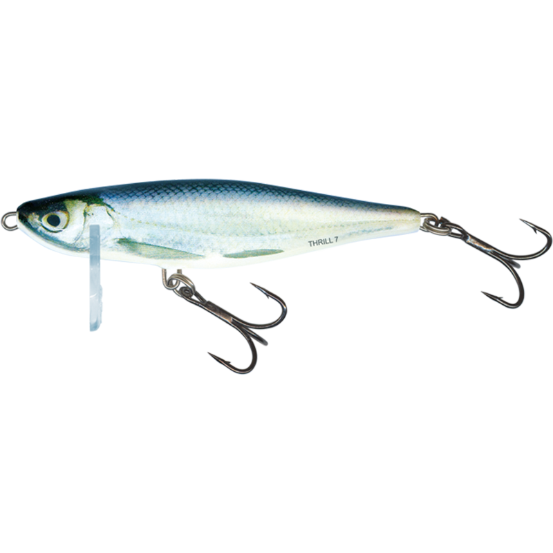Salmo Thrill 7cm 13g - Sinking